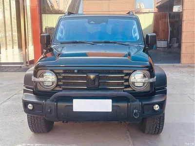 2024 Tank 300 Model 2.0T Challenger, фото 2, лот 11527703