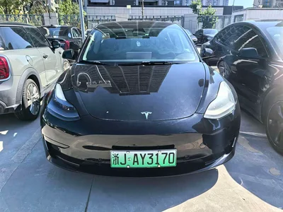 2022 Tesla Model 3 Model Rear-Wheel Drive Version, фото 3, лот 11568489