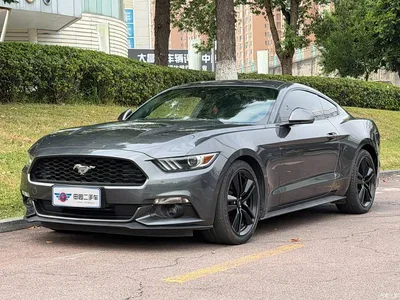 2015 Ford Mustang 2.3T Performance Edition, фото 1, лот 10279974