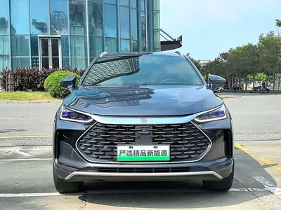 2022 BYD Tang New Energy DM-p 215KM AWD Flagship, фото 2, лот 11182044