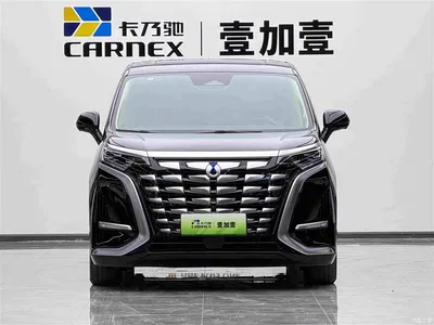 2024 Denza D9 PIONEER 4-Seater Pioneer Edition, фото 2, лот 10345733