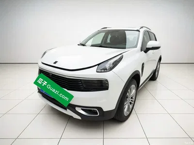 2019 Lynk & Co 01 2.0T 2WD Type Pro Version China VI, фото 1, лот 11583714
