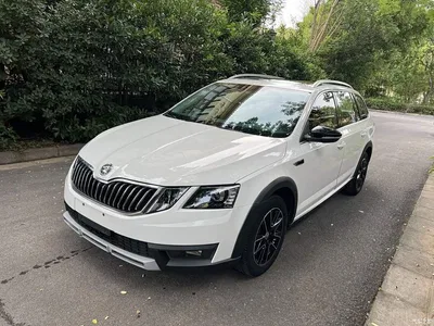 2019 Škoda Octavia Wagon TSI230 DSG Luxury Edition China V, фото 1, лот 11002598