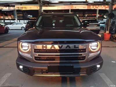 2024 Haval Big Dog 1.5T DCT Border Collie Edition, фото 3, лот 10361509