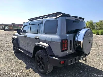 2021 Tank 300 Off-road Edition 2.0T Challenger, фото 4, лот 10344597