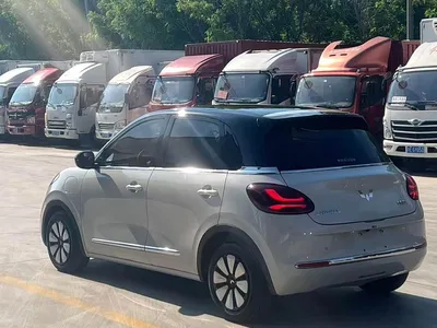 2024 Wuling Motors Wuling Bingo 333km Comfort Edition, фото 4, лот 10361490