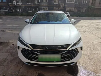 2024 BYD Qin L DM-i 120KM Excellence Model, фото 3, лот 11545741