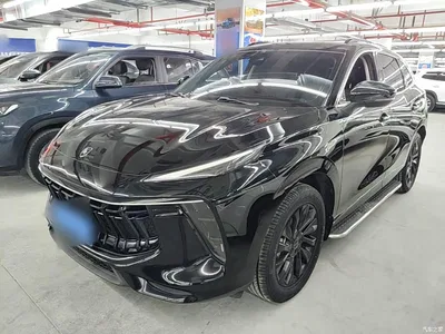 2021 Dongfeng Fengxing T5 EVO 1.5TD DCT Diamond Edition, фото 1, лот 11158877