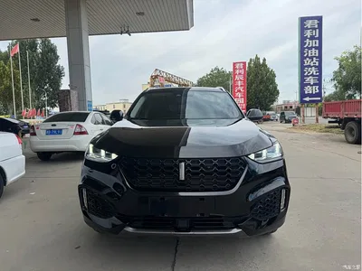 2019 WEY VV6 2.0T 2WD Ultra Luxury China VI, фото 3, лот 10450809