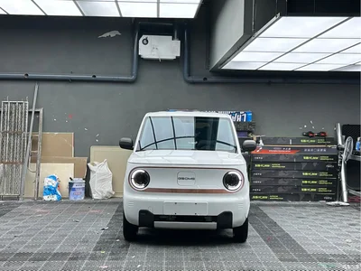 2023 Geely Galaxy Panda Mini 200km Endurance Bear, фото 2, лот 10432313