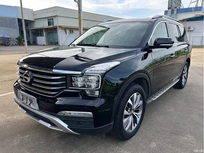 2017 GAC Trumpchi Trumpchi GS8 320T 2WD Luxury Smart Connect (7-seater), фото 1, лот 10417026
