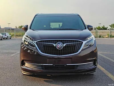 2017 Buick GL8 ES 28T Premium China V, фото 3, лот 10256089