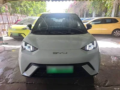 2023 BYD Seagull Freedom Edition, фото 3, лот 10262919