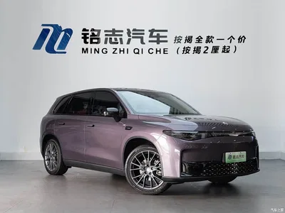 2026 Leapmotor C10 605 Delight Edition, фото 4, лот 10443963