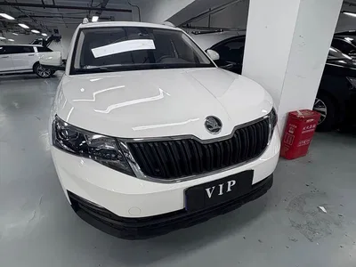 2021 Škoda Kamiq 1.5L Automatic Standard, фото 3, лот 10478981