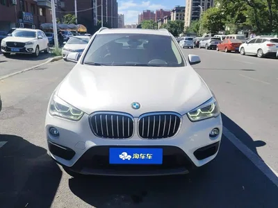 2019 BMW X1 sDrive20Li Leading Model, фото 2, лот 10465321