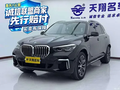 2022 BMW X5 xDrive 30Li M Sport Package, фото 1, лот 10401471