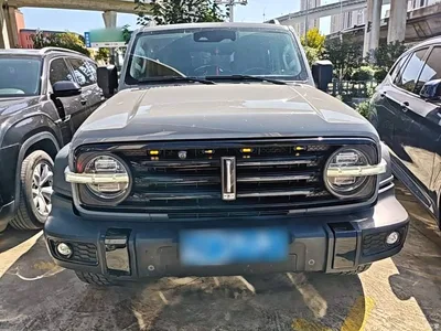 2021 Tank 300 Off-road Version 2.0T Conqueror, фото 3, лот 11545991