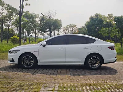 2020 BYD Qin Pro Surpass Edition 1.5TI Automatic Flagship, фото 4, лот 10957849
