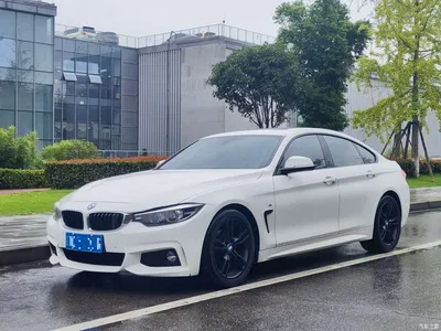 2017 BMW 4 Series 425i Gran Coupe Leading M Sport Package, фото 1, лот 10468662