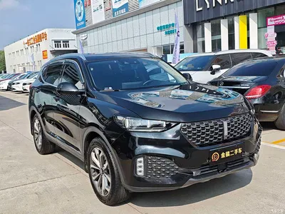 2020 WEY VV6 2.0T 2WD Smart Protection+, фото 4, лот 11202997