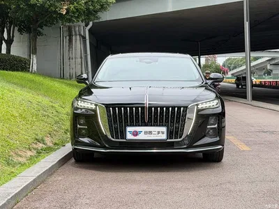 2024 Hongqi H5 2.0T Automatic Smart Connect Flag Smooth Edition, фото 2, лот 10288137