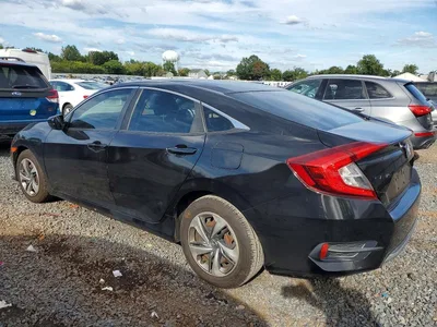 2020 HONDA CIVIC LX, фото 2, лот 11557717