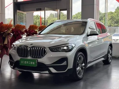 2020 BMW X1 New Energy xDrive30Le Premium Edition, фото 1, лот 10475363