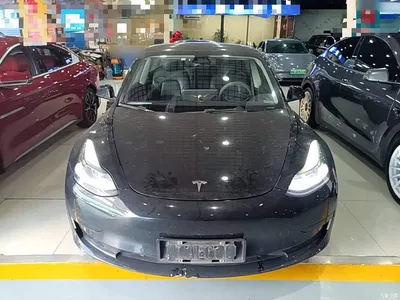 2021 Tesla Model 3 Standard Range Rear-Wheel Drive Upgrade 3D6, фото 3, лот 11191794