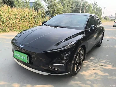 2025 Wuling Motors Wuling Xingguang Model 610km Smart Flagship, фото 1, лот 10832096