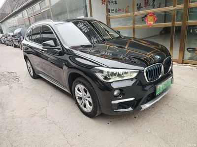 2019 BMW X1 New Energy xDrive25Le Range Upgrade Edition, фото 3, лот 10475358