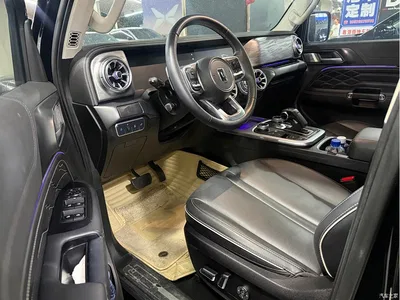 2021 Tank 300 Off-road Version 2.0T Conqueror, фото 3, лот 11569465