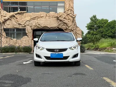2016 Hyundai Langdong 1.6L Automatic Premium Edition, фото 2, лот 10826493