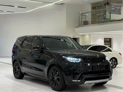 2020 Land Rover Discovery 2.0T 30th Anniversary Special Edition, фото 1, лот 10326529