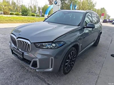 2023 BMW X5 xDrive 40Li M Sport Package, фото 1, лот 11215458