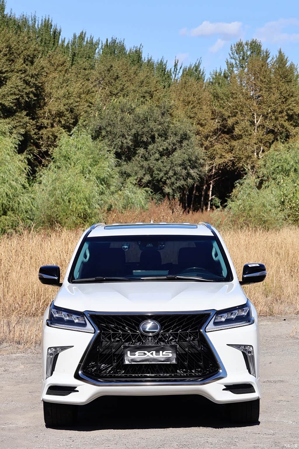 2019 Lexus LX, фото 2, лот 11215150