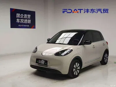 2023 Wuling Motors Wuling Bingo 410km Lingxi Premium Edition, фото 1, лот 11397421