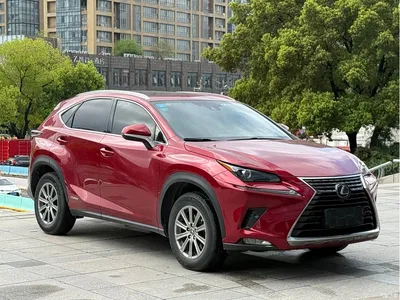2020 Lexus NX 300h FWD F Sport China V, фото 3, лот 10316114