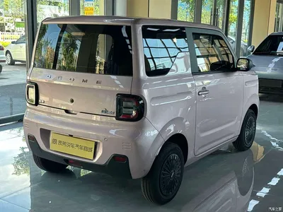 2024 Geely Galaxy Panda mini 200km Endurance Bear, фото 4, лот 10428852