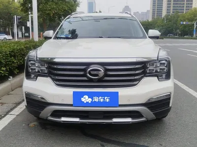 2017 GAC Trumpchi Trumpchi GS8 320T AWD Luxury Smart Connect (7-Seater), фото 3, лот 11202842