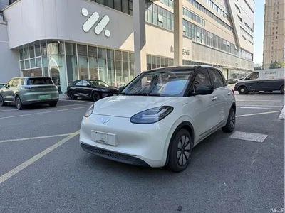 2024 Wuling Motors Wuling Bingo 333km Smart Connect Edition, фото 1, лот 10376181