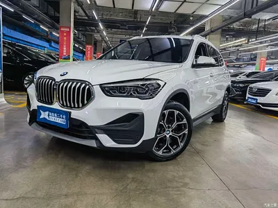 2022 BMW X1 sDrive25Li Leading, фото 1, лот 10464935