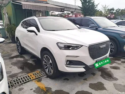 2019 Haval F5 National Trend Edition 1.5T iTrend China VI, фото 4, лот 10285884