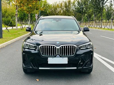 2022 BMW X3 xDrive25i M Sport Package, фото 2, лот 10403930