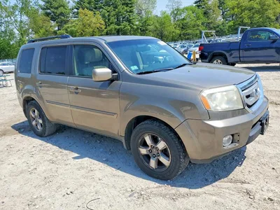 2009 HONDA PILOT EXL, фото 4, лот 10681352