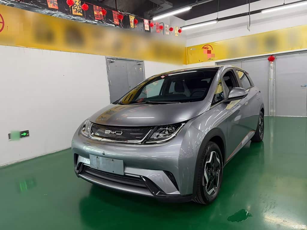 2021 BYD Dolphin Model 405km Fashion Edition, фото 1, лот 11211606
