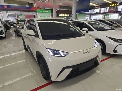 2024 BYD Seagull Glory Edition 305km Vitality Edition, фото 4, лот 11249617