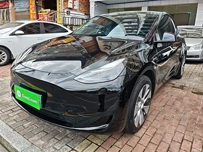 2022 Tesla Model Y Facelift Rear-Wheel Drive Version, фото 2, лот 10374192