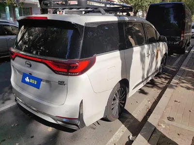 2021 GAC Trumpchi Trumpchi M8 Leading Show Series 390T Prestige Edition, фото 3, лот 11204748