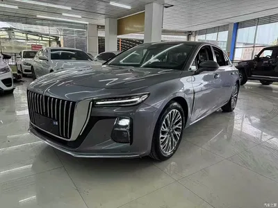2023 Hongqi H5 2.0T Auto Smart Connect Flag Comfort, фото 1, лот 10288179